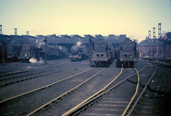 A general view of the shed yard in steam days with 9Fs much in evidence