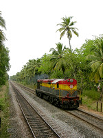 South of Majorda the Konkan railway runs on a long straight stretch to the rural halt at Senaulim. Here a light engine WDG3 heads southwards
