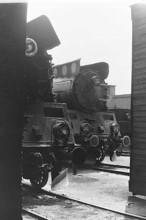 Ol49s at Sierpc viewed through the shed doors