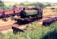 Andrew Barclay 0-4-0 saddle tank at Holwell.